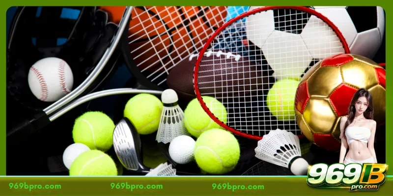 The 4 Most Popular Disciplines within 969B Sports