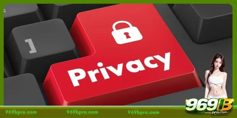 Understanding Data Practices in the 969B Privacy Policy Framework